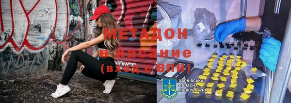 прущие грибы Арсеньев