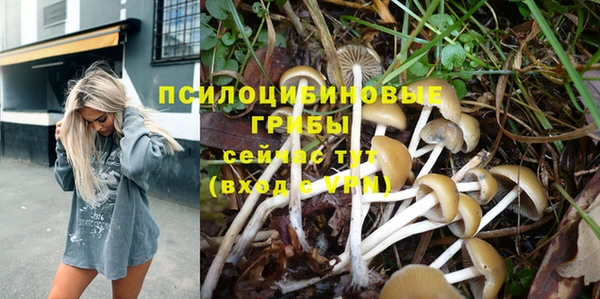 скорость Пестово